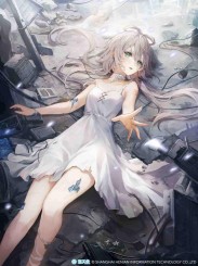 猫爪上的诸天万界